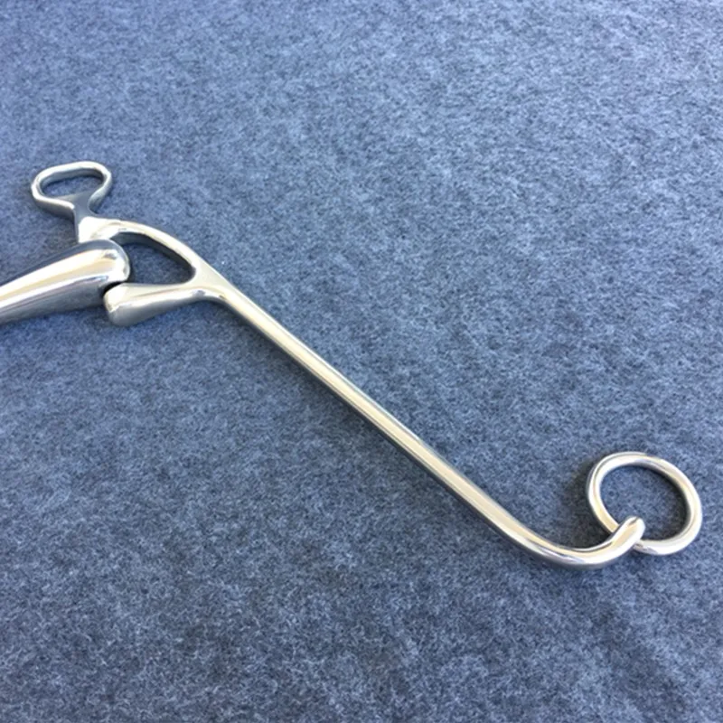 LONGHORN EMBOUT DE snaffle en acier inoxydable D-Ring Dogbone EUR 33,13 - FR