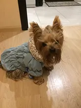 Hoodie Coat Outfit Warm-Dress Girl Dog Winter Princess New Floral 6-Sizes Bubble-Skirt