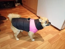 Coat Jacket Puppy-Vest Dogs Waterproof Winter Medium Pet-Dog Zipper Small Large Warm