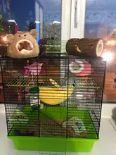 Tube Toy-Tunnel Hamster Wooden Guinea-Pig Rabbit-Ferret for Chew-Toy Exercise Pet-Gyh