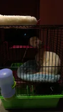 Almohadilla para nido de hámsters, cojín cálido de terciopelo para mascotas, erizo, Chinchilla, conejo para roedores/cobaya/rata/erizo, 5 colores S/L, suministros para mascotas