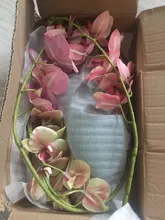 Party-Decoration Flower-Leaf Wedding Plastic Artificial-Green Home 1pc F11 Butterfly