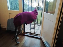 Clothing Pullovers Pet-Coat Pitbull Dogs High-Collar Winter Mascotas Large Medium Big