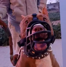 Bozal de silicona suave para perros pequeños, medianos, grandes y x-grandes, cesta transpirable, para mordeduras y ladridos