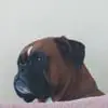 e***a