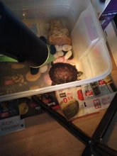 Kit de lámpara para reptiles UVA + UVB 3,0, soporte de luz de cerámica con Clip, lámpara de calefacción UV para base de tortuga, iluminación de lagarto y Tortuga de 220V