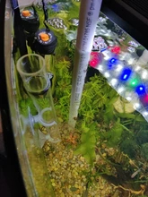 Acrylic Shrimp Feeding Tray Fish Food Feeder Aquarium Fish Tank Feeding Tube