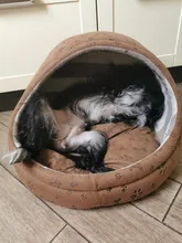 Cat Bed Nest Kennel Dog-Beds Cat-House Princess-Bed Dogs Washable Small Warm for Pet-Dog