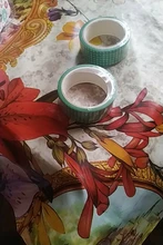 Cinta Washi de colección de plantas verdes, 14 diseños, 15mm, patrón de mosaico a cuadros, adhesivos de decoración, A6825