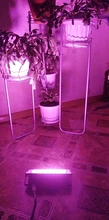 Phyto-Lamp Floodlight Greenhouse-Plant-Hydroponic-Plant Outdoor Full-Spectrum 220V 50w Led