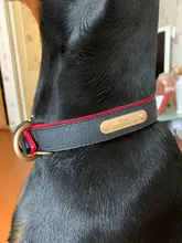 Dog-Collar Id-Plate Engraved Dogs Pitbull Custom Personalized Padded with Tag 2-Layers