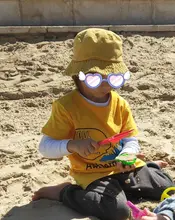 Camiseta de manga corta de algodón con dibujos de animales para niños y niñas, ropa de verano, dibujo de mono de León, coche rojo