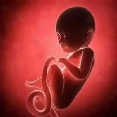妻子产检中发现胎儿心跳严重异常，于是他们决定......