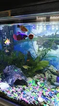 Alimento para peces en escamas de espirulina, alimento para peces de escamas, alimentación saludable del océano, para acuario, peces ornamentales, peces tropicales de mascotas para hogar, 10/20 piezas
