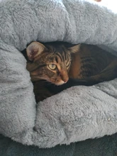 Warm Cat Bed Pet Puppy Cat House Winter Dog Cat Cushion Mat Indoor Basket Cave Kennel