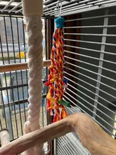 Parrot Toy Bird-Accessories Cockatiels Chewing Training Rope Parakeet Tearing Bite-Resistant