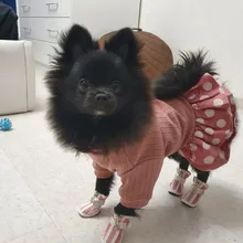 Dog-Dress Dogs-Skirt Yorkshire Summer Chihuahau Dot 