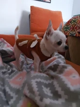 Fleece Vest Suit Coat Jackets Clothing Pet-Dog-Clothes New-Supplies Small Dog Winter