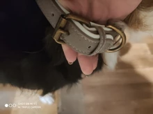 Dog-Collar Bulldog German Shepherd Wide-Leather Padded Pet-Dog Perro Soft for Medium