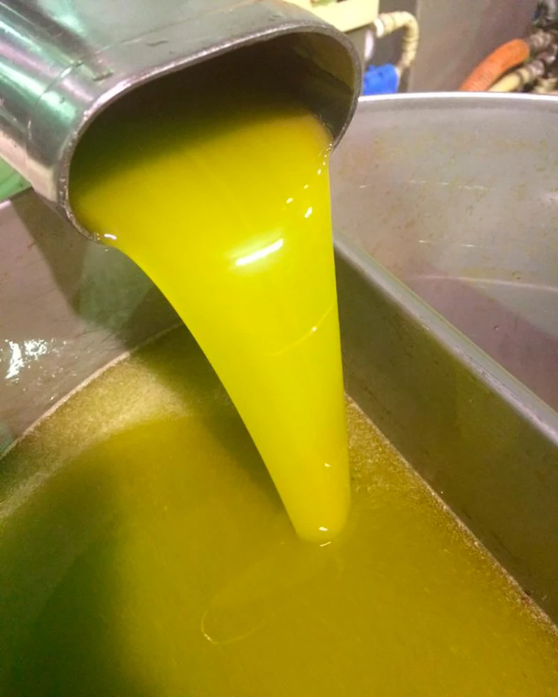 Extra virgin olive oil, Cortijo La Muralla, Arbequina variety, 2 2 L Garrafas, cold extraction, AOVE 100% Natural