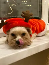 Christmas Dog Clothes Small Dogs Santa Costume for Pug Chihuahua Yorkshire Pet Cat Clothing