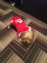 Costume Pet-Jumpsuit Puppy-Outfit Dogs French Bulldog Chihuahua Medium Pug-Pets Small