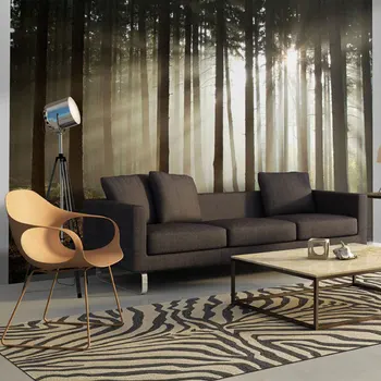 

Wall mural-forest coniferous morning-250x193 cm