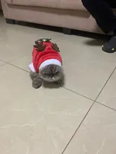 Christmas Dog Clothes Small Dogs Santa Costume for Pug Chihuahua Yorkshire Pet Cat Clothing