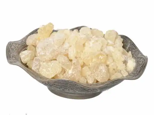 High quality Sandarac- Thuja articulata 100 gr-400 gr free shipping