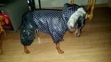 Coat Dogs-Clothing Dot-Pattern Winter Hooded Pet-Dogs New Xl To High-Quality