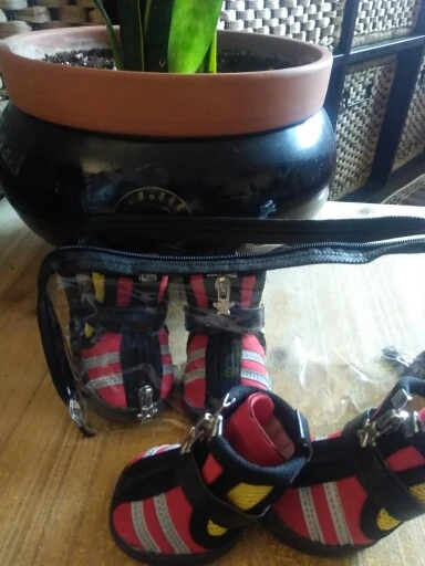 Köpek ayakkabısı