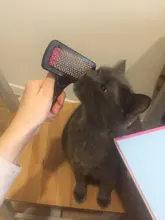 1 Pcs Multiple Colour High Quality Needle Comb For Dog Cat Puppy Pets Comb Brush Brush