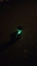 Alta calidad 1 Uds Multi-color LED Collar de perro ajustable mascota de seguridad nocturna Collar luminoso luz perro brillante Collar Correa