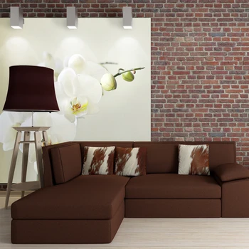 

Wall mural-white orchid-400x309 cm
