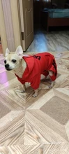 Jumpsuit Clothing Hoodies Jacket Pet-Dog-Coats Small Dogs Sport Apparel Winter Fashion