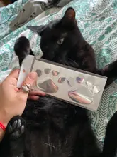 Decal Car-Sticker Footprint Animal Silver Black Bear Golden Cool-Design Cat Paw Dog 3D