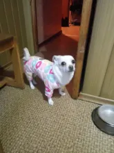 Pajama Jumpsuit Overalls Clothing Puppy-Cat-Clothes Dogs Small Yorkshire Terrier 