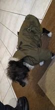Hoodie Jacket Pet Dogs Cats Chihuahua Winter Medium Warm And Lightweight