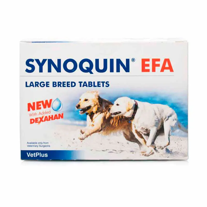 ^*Best Offers Synoquin EFA Large Breed 120 Tablets ^*Best Offers Synoquin EFA Large Breed 120 Tablets