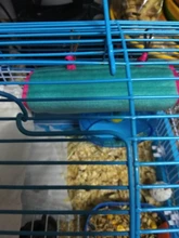 Hamster Cage Pet-House Plush-Nest Ferret Rat Squirrel Animal-Room Small Pet Cotton Bed