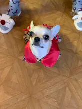 Dress Costume Dog-Puppy-Clothes PET PETCIRCLE Small Dog Classic Check Fit Pet-Cat All-Seasons