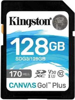 

128GB SD CANVAS GO PLUS 170R C10
