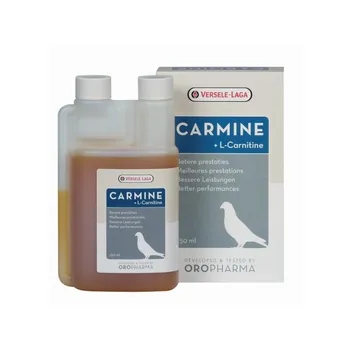 

CARMINE L CARITINE VERSELE LAGA OROPHARMA 250 ML