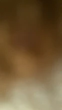 Peine de aseo para mascotas, cepillo para quitar el pelo caído, rebanador, suministros para perros y gatos, protector, 4x 7B
