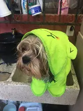 Pet-Dog-Cat-Towel Bathrobes Blanket Puppy Pets-Drying Super-Absorbent Cute with Hoodies