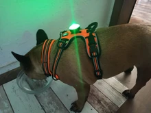 Led-Light Backpack Harness Collar Truelove Safety for Pet-Wear with Water-Resistant And