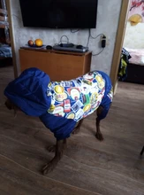 HOOPET Large Coat Down-Jacket Winter New Warm Autumn for Dogs Dog-Prints Overalls Leisure-Style