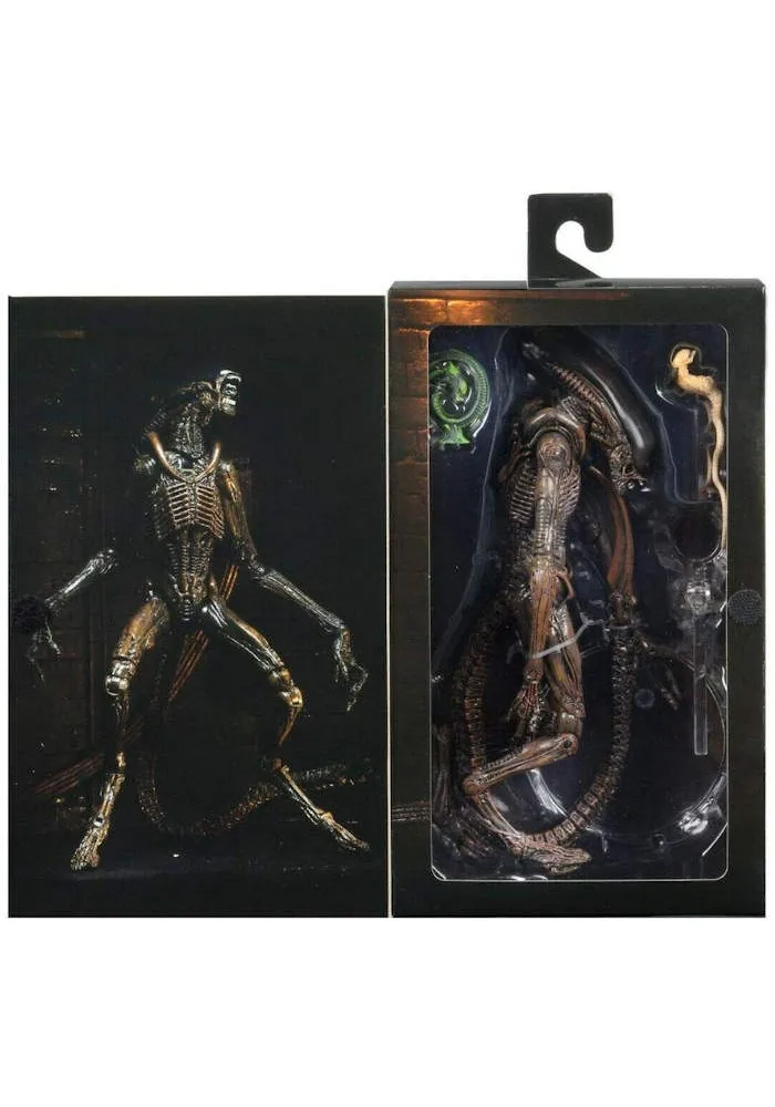Anjing Ultimate Alien Action Figure 