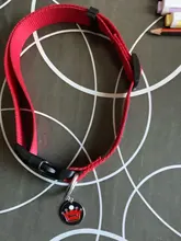 Id-Collar Pendant-Supplies Pet-Name-Tag Customized Dog Metal Personalized Engraving Puppy