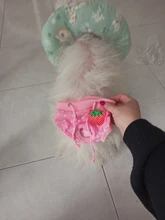 Dog Panties Physiological Pet-Dogs Menstrual-Hygiene Female Puppy Estrus Small Jeans